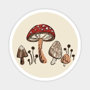 Mushrooms Magnet